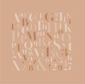 Stylish elegant font coffee color mix