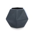 Stylish empty dark ceramic vase isolated