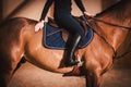 Stylish Equestrian Rider on a Horse in Luxury Brown Leather Equipment