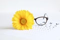 Stylish eyeglasses and eye chart. Royalty Free Stock Photo
