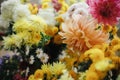 Stylish fall bouquets with yellow and pink asters and dahlias.  Hello autumn! Floral wallpaper. Beautiful autumn flowers close up Royalty Free Stock Photo