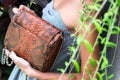 Stylish fashion girl, beautiful young woman posing with luxury snakeskin python handbag. Tropical island Bali, Indonesia Royalty Free Stock Photo