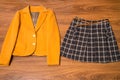 Stylish female blazer and skirt