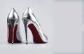 Stylish female silver shoes