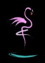 Stylish flat design flamingo Icon. Vector silhouette of flamingo. Name design for the company. isolated Royalty Free Stock Photo