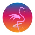 Stylish flat design flamingo Icon. Vector silhouette of flamingo. Name design for the company. Royalty Free Stock Photo