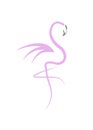 Stylish flat design flamingo Icon. Vector silhouette of flamingo. Name design for the company. isolated