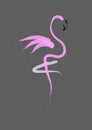 Stylish flat design flamingo Icon. Vector silhouette of flamingo. Name design for the company. isolated or grey