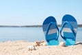 Stylish flip flops and seashells on sandy beach, space for text Royalty Free Stock Photo