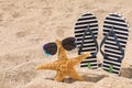 Stylish flip flops, sunglasses and starfish on sand, space for text Royalty Free Stock Photo