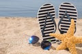 Stylish flip flops, sunglasses and starfish on sandy beach, space for text Royalty Free Stock Photo