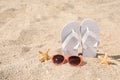 Stylish flip flops, sunglasses and starfishes on sand, space for text Royalty Free Stock Photo