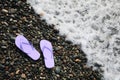Stylish flip lops on pebble beach near sea. Space for text
