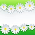 Stylish floral background, 3d flower chamomile Royalty Free Stock Photo