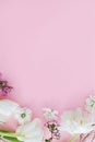 Stylish flowers flat lay on pink background with space for text. Happy womens day and Mothers day. Beautiful tulips and spring Royalty Free Stock Photo