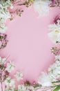Stylish flowers flat lay on pink background with space for text. Happy womens day and Mothers day. Beautiful tulips and spring Royalty Free Stock Photo