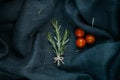 Stylish food. The rosemary and cherry tomatoes composition. Royalty Free Stock Photo