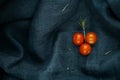 Stylish food. The rosemary and cherry tomatoes composition. Royalty Free Stock Photo