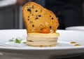 Stylish fresh trendy new french foie gras on a plate with cracker