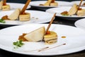 Stylish fresh trendy new french foie gras on a plate with cracker