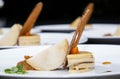 Stylish fresh trendy new french foie gras on a plate with cracker