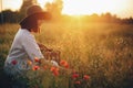 Stylish girl in linen dress gathering flowers in rustic straw basket, sitting in poppy meadow in sunset. Boho woman in hat Royalty Free Stock Photo