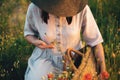 Stylish girl in linen dress gathering flowers in rustic straw basket, sitting in poppy meadow in sunset. Boho woman holding Royalty Free Stock Photo