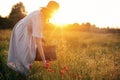 Stylish girl in linen dress gathering flowers in rustic straw basket, walking in poppy meadow in sunset. Boho woman in hat Royalty Free Stock Photo