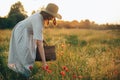 Stylish girl in linen dress gathering flowers in rustic straw basket, walking in poppy meadow in sunset. Boho woman in hat Royalty Free Stock Photo