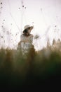 Stylish girl in rustic dress and hat sitting among wildflowers and herbs in sunny meadow in mountains. Boho woman relaxing in