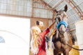 Stylish girl wearing riding boots cleaning racing horse