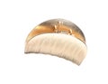 Stylish gold hair claw isolated Royalty Free Stock Photo