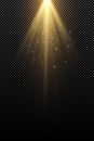 Stylish gold light effect isolated on a transparent background. Golden rays. Lamp beams. Flying golden magical dust. Sunlight.
