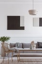 Stylish golden chair next to coffee table with vase in front of grey couch