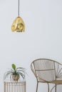 Stylish golden lap above industrial table with plant in pot on it, elegant chair next to it, real photo