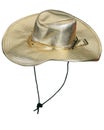 Stylish golden party hat