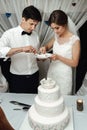 Stylish gorgeous bride and elegant groom cutting and tasting un Royalty Free Stock Photo