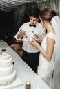 Stylish gorgeous bride and elegant groom cutting and tasting un Royalty Free Stock Photo