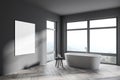 Stylish gray bathroom corner with tub, poster and windows Royalty Free Stock Photo