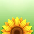 Stylish green background with 3d sunflower