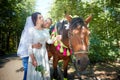 Stylish groom in a blue suit walk with the bride in a white dress in nature in the park with white horse. Wedding Royalty Free Stock Photo