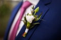 Stylish groom, wearing flower boutonniere, Royalty Free Stock Photo