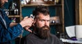 Stylish haircut concept. Hands of barber with clipper close up. Client with beard on salon background. Hipster bearded