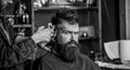 Stylish haircut concept. Hands of barber with clipper close up. Client with beard on salon background. Hipster bearded