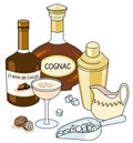 Stylish hand-drawn doodle cartoon style Brandy Alexander cocktail composition. A bottle of Cognac and cocoa liquor