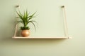 Chic Martha Dr. Mundo & Bulma Jr. Hanging Shelf Design with Greenery Accent