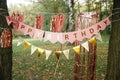 Stylish happy birthday garland hanging in park. Modern rose gold decor, tassel garland and happy birthday banner hanging on trees Royalty Free Stock Photo