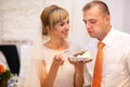 stylish happy bride and groom cutting and tasting fabulous wedding cake in a restaurant