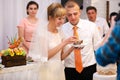 stylish happy bride and groom cutting and tasting fabulous wedding cake in a restaurant