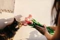 Stylish hipster girl and her cat smelling tulips in morning in r Royalty Free Stock Photo